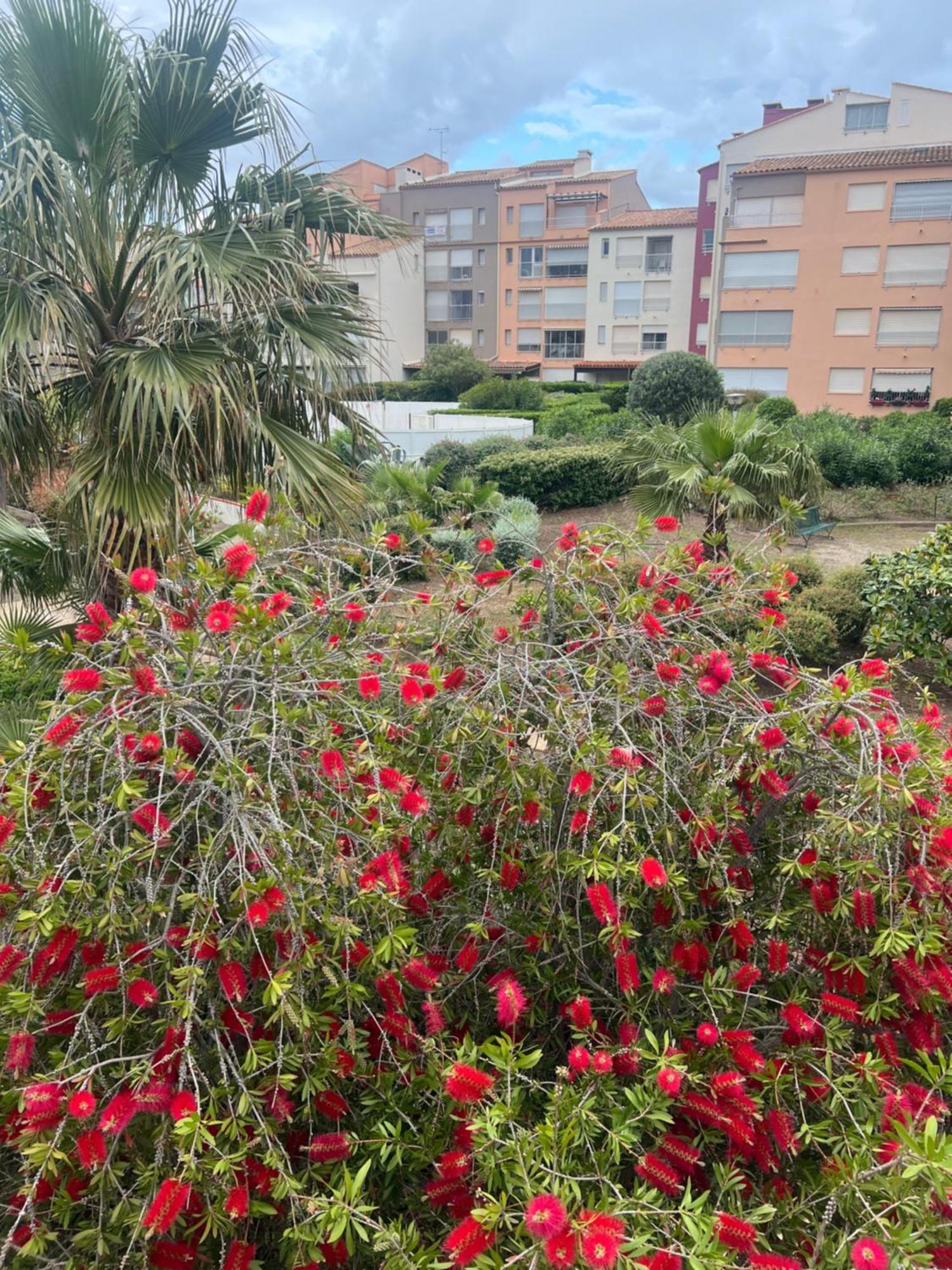 Residence Le Pharo Agde Buitenkant foto